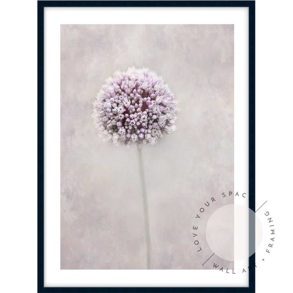 Allium Flower