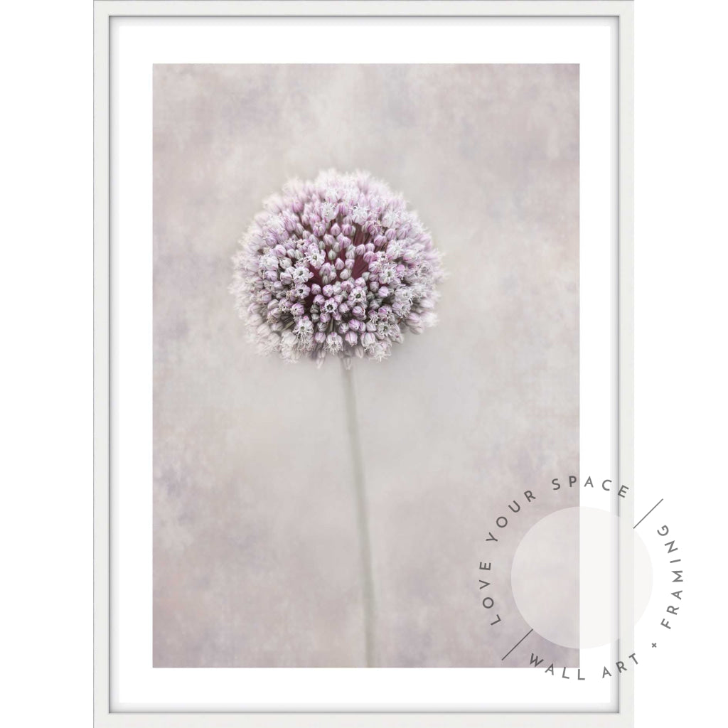 Allium Flower