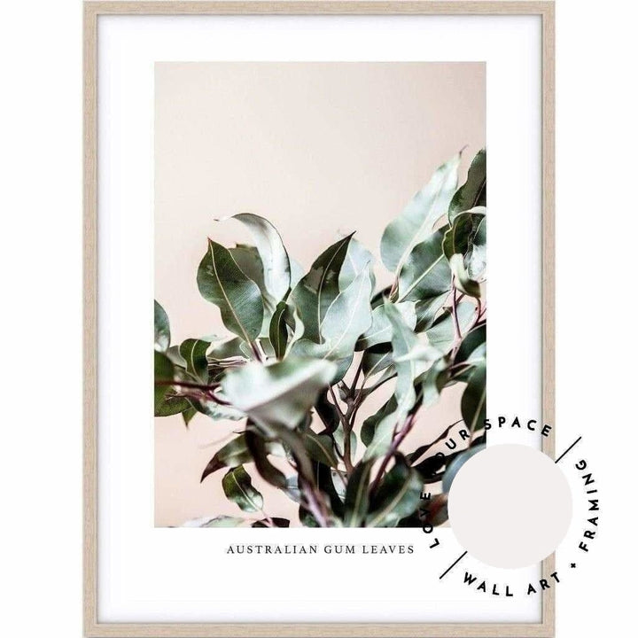 Australian Gum Leaves - Love Your Space