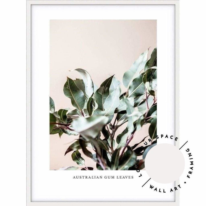 Australian Gum Leaves - Love Your Space