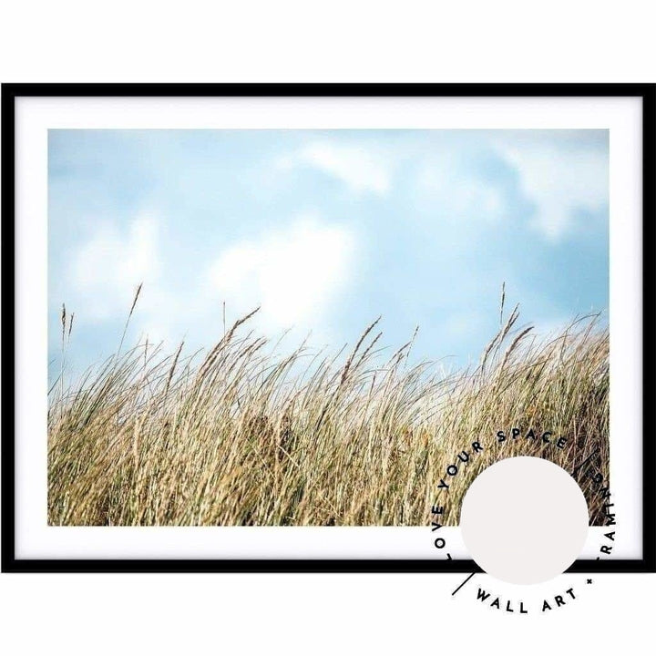 Beach Grass - Port Fairy - Love Your Space