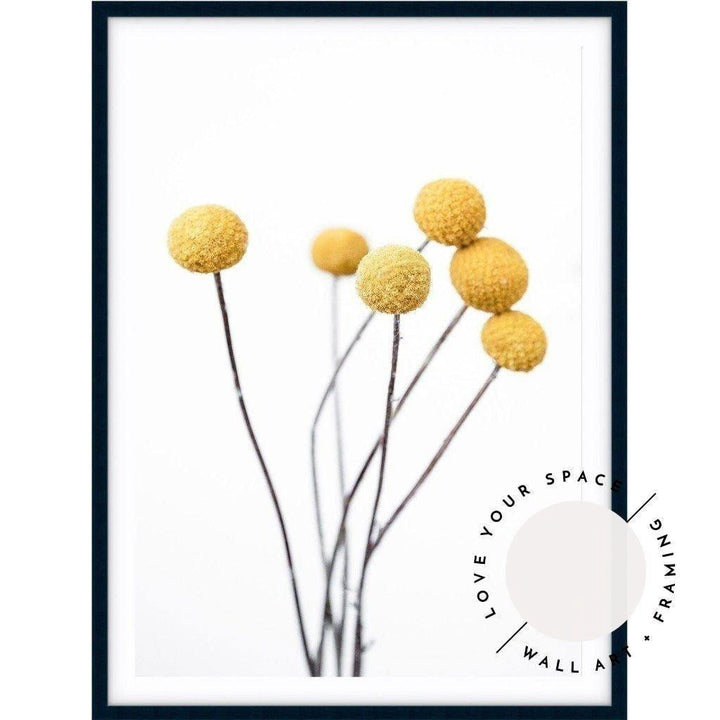 Billy Buttons - Love Your Space