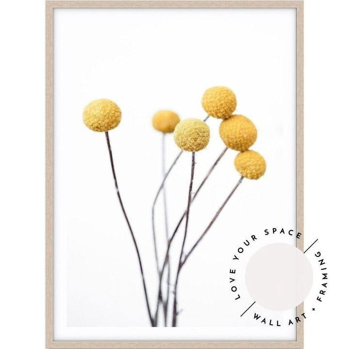 Billy Buttons - Love Your Space