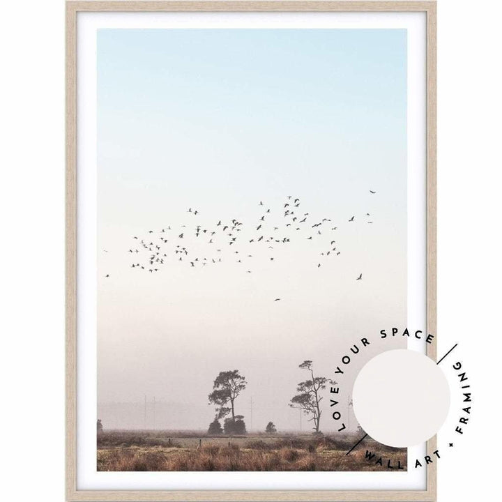 Birds At Sunrise no.1 - Stockton Beach - Love Your Space