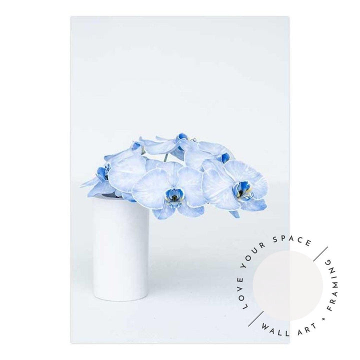 Blue Orchid no.3 - Love Your Space