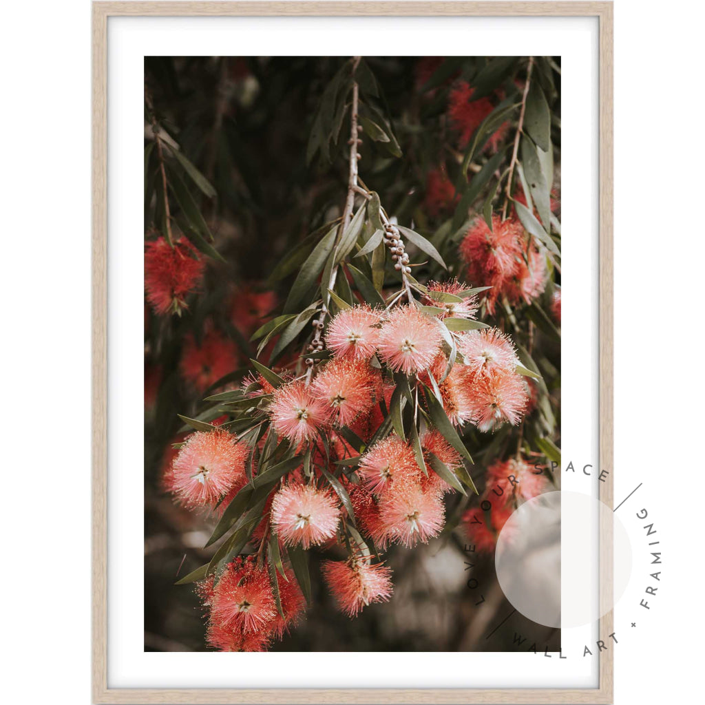 Bottle Brush I