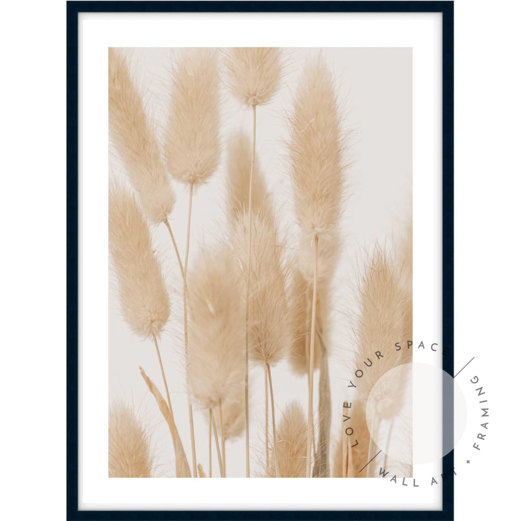 Bunny Tail Grass II