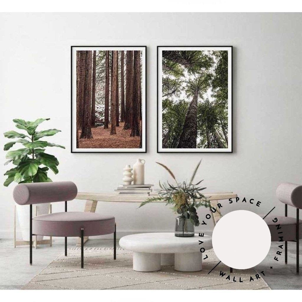 Californian Redwoods no.2 - The Otways - Love Your Space