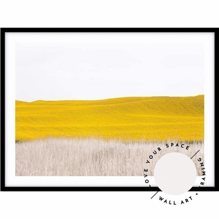 Canola II - Country Victoria - Love Your Space