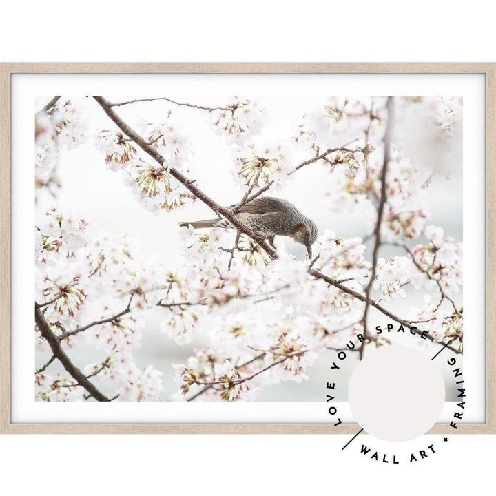 Cherry Blossom - Love Your Space