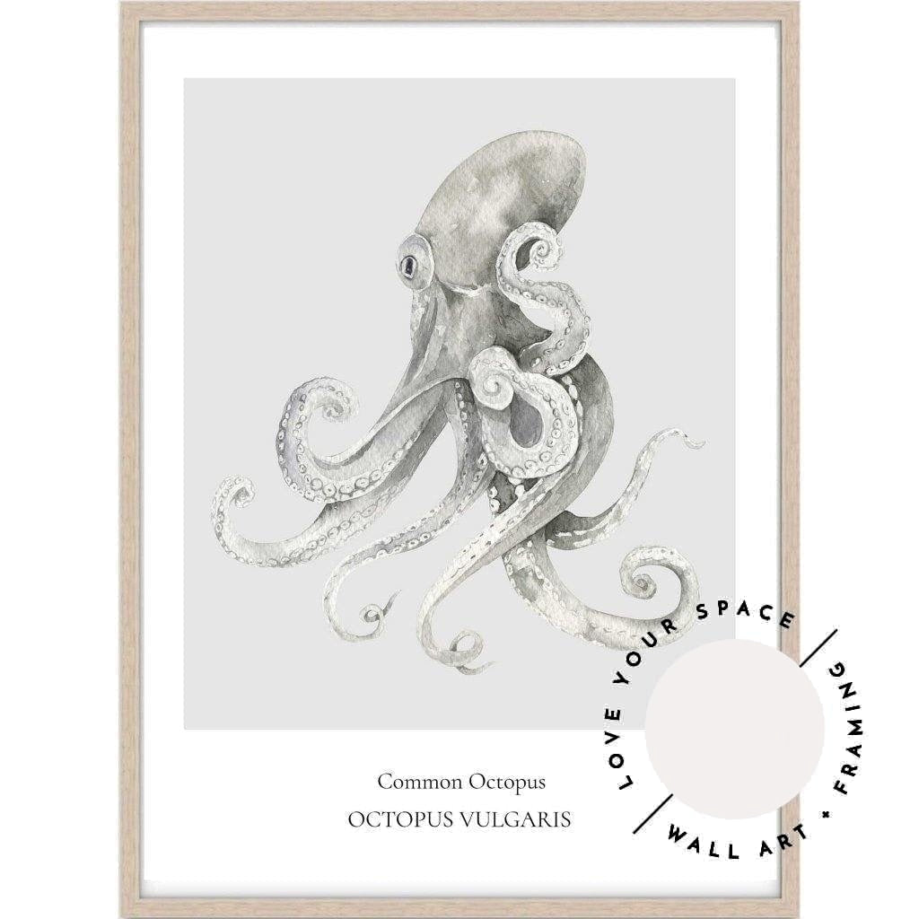 Common Octopus - Love Your Space