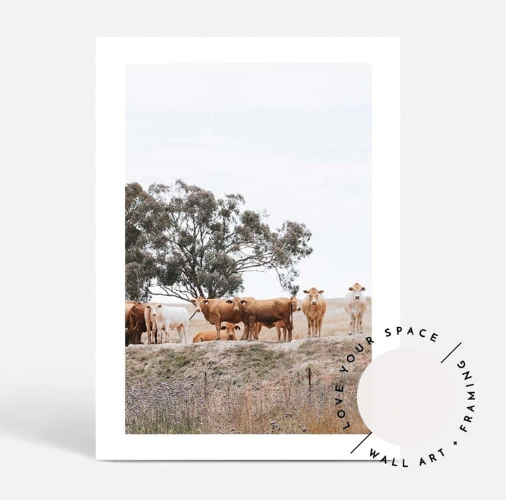 Country Cattle I - Love Your Space