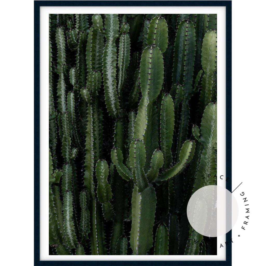 Crowded Cactus - Love Your Space