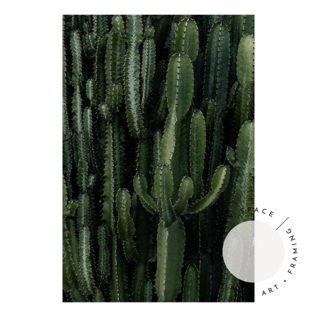 Crowded Cactus - Love Your Space