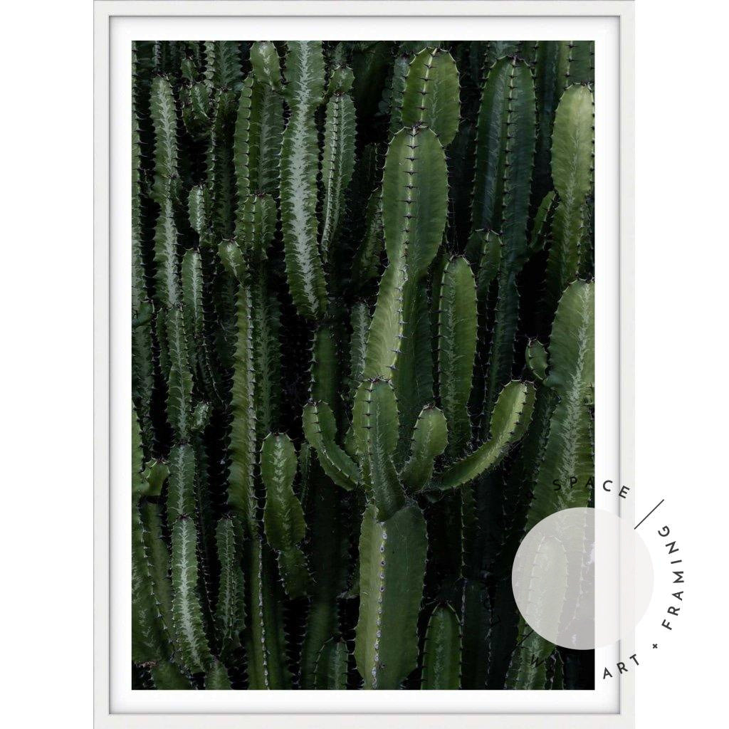 Crowded Cactus - Love Your Space