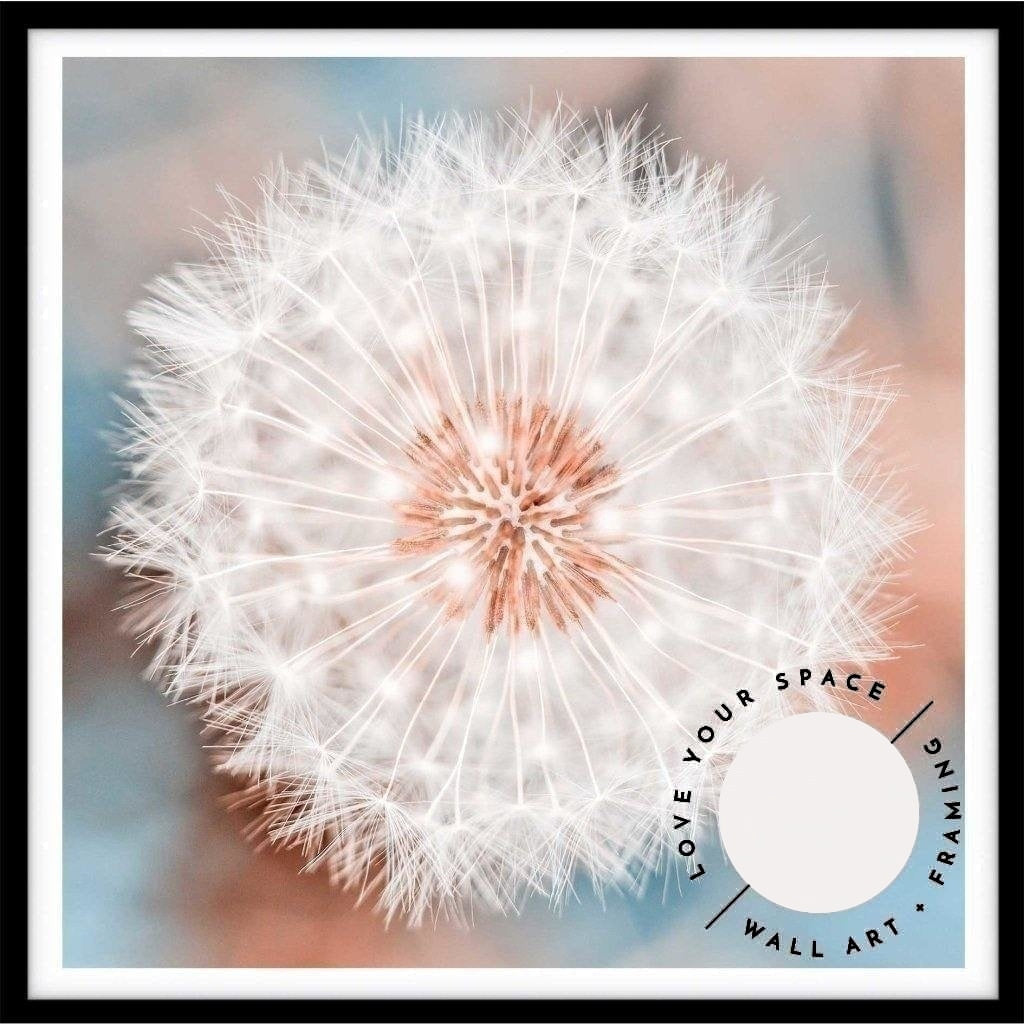 Dandelion no.2 - SQ - Love Your Space