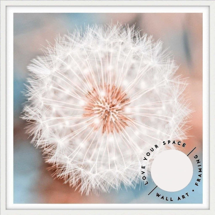 Dandelion no.2 - SQ - Love Your Space