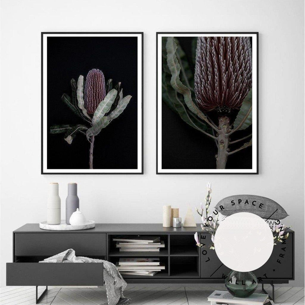 Dark Banksia II - Love Your Space