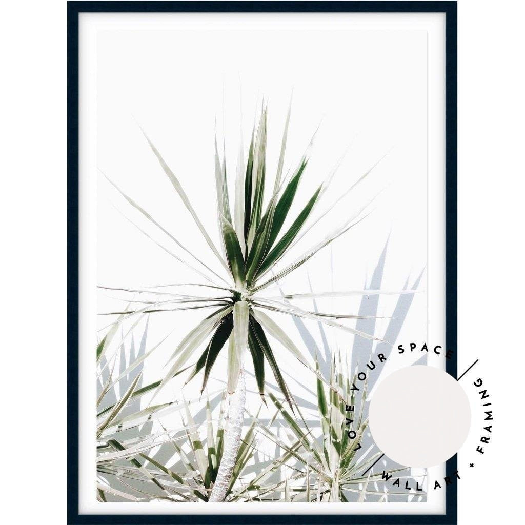 Dracaena II - Love Your Space