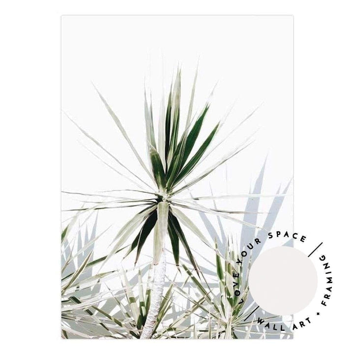 Dracaena II - Love Your Space