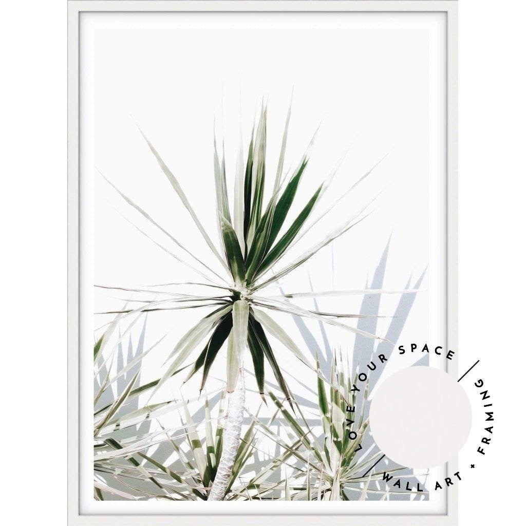 Dracaena II - Love Your Space