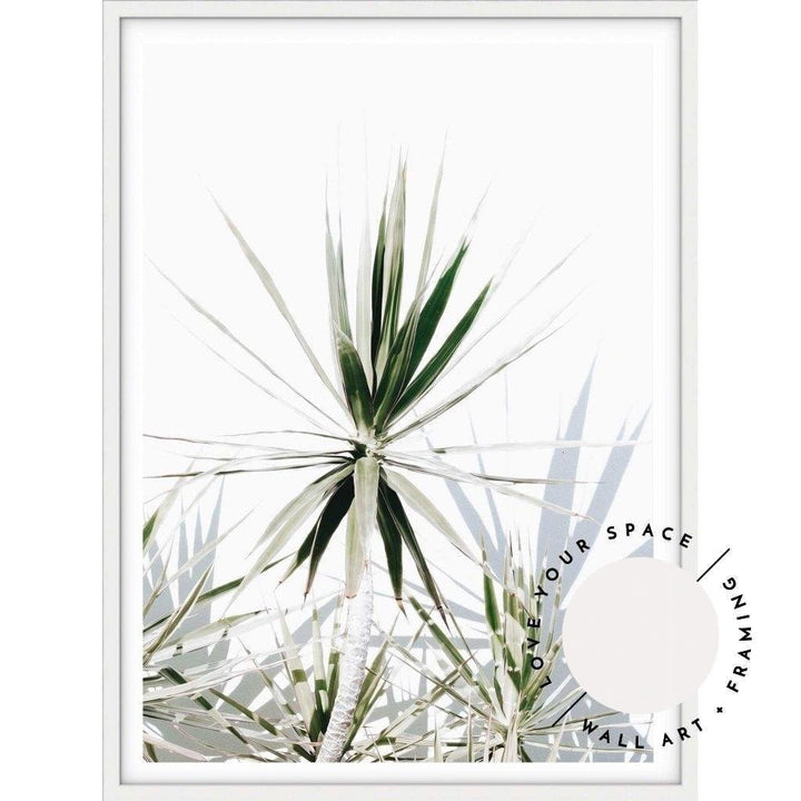 Dracaena II - Love Your Space