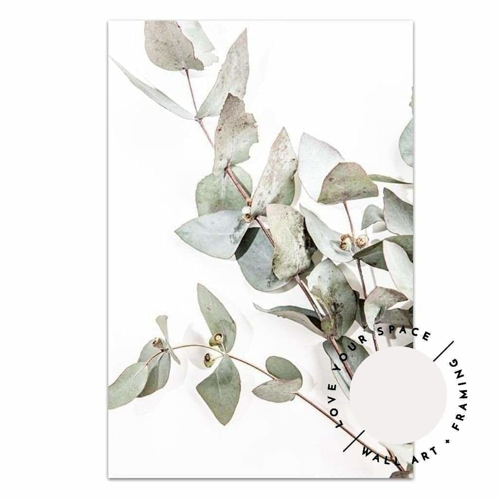 Eucalyptus Leaves no.1 - Love Your Space