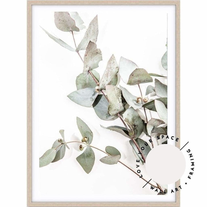 Eucalyptus Leaves no.1 - Love Your Space