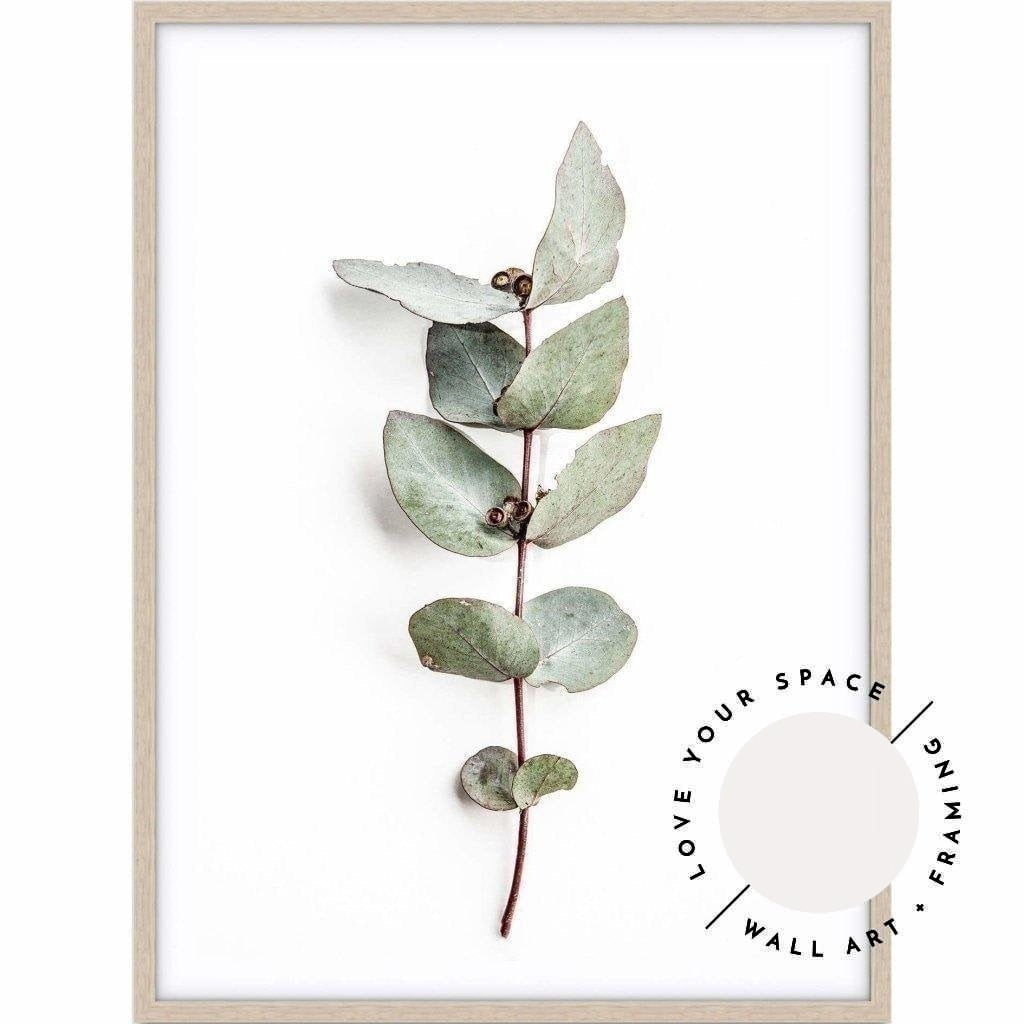 Eucalyptus Leaves no.2 - Love Your Space