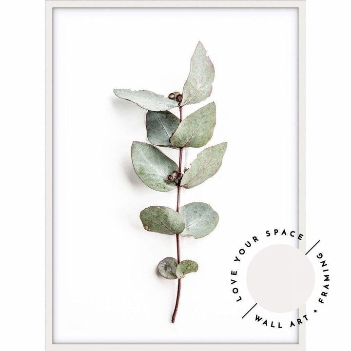 Eucalyptus Leaves no.2 - Love Your Space