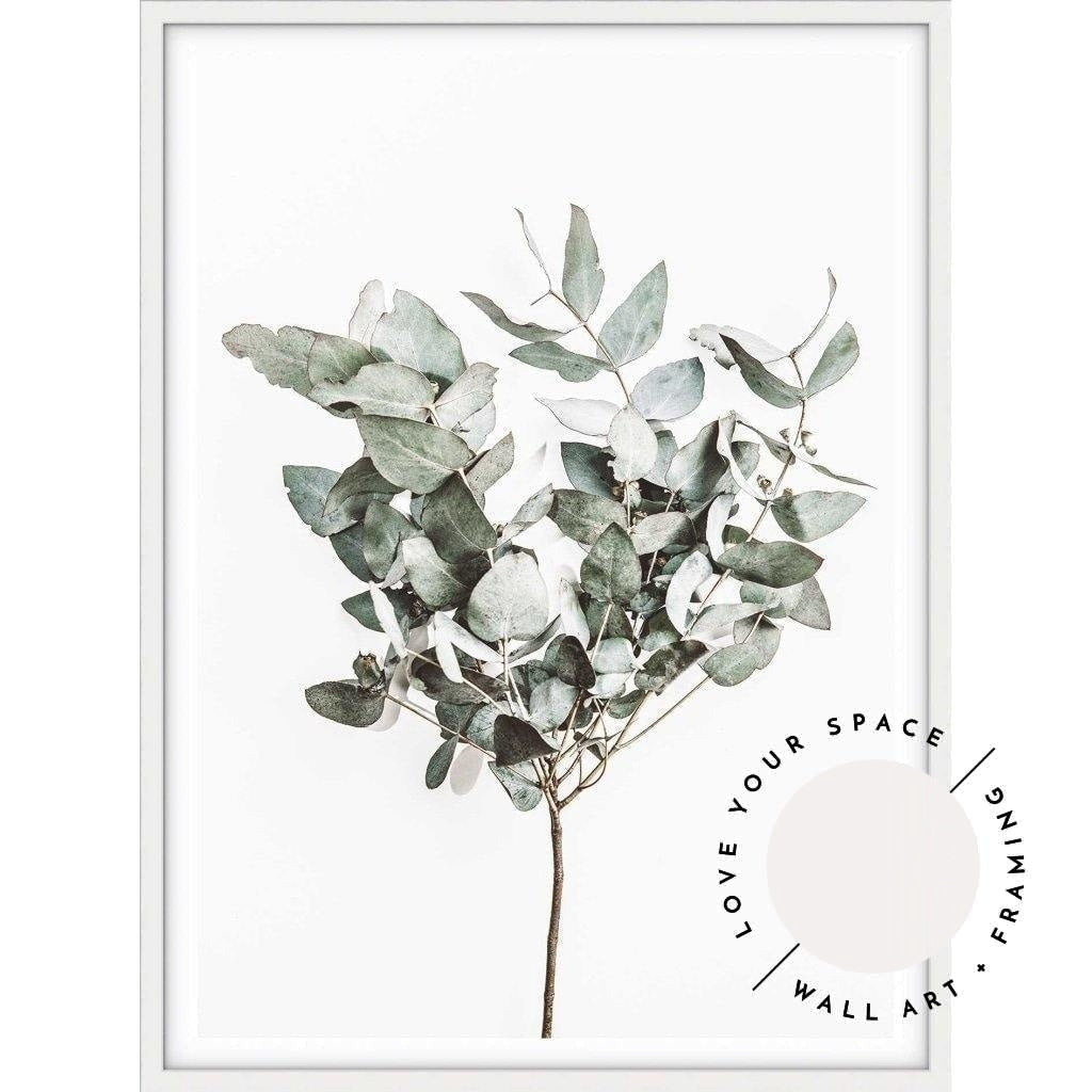 Eucalyptus Leaves no.3 - Love Your Space