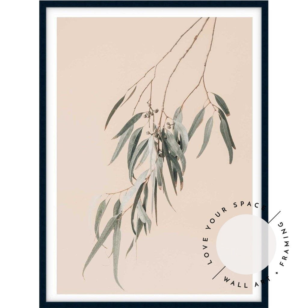 Eucalyptus On Peach - Love Your Space