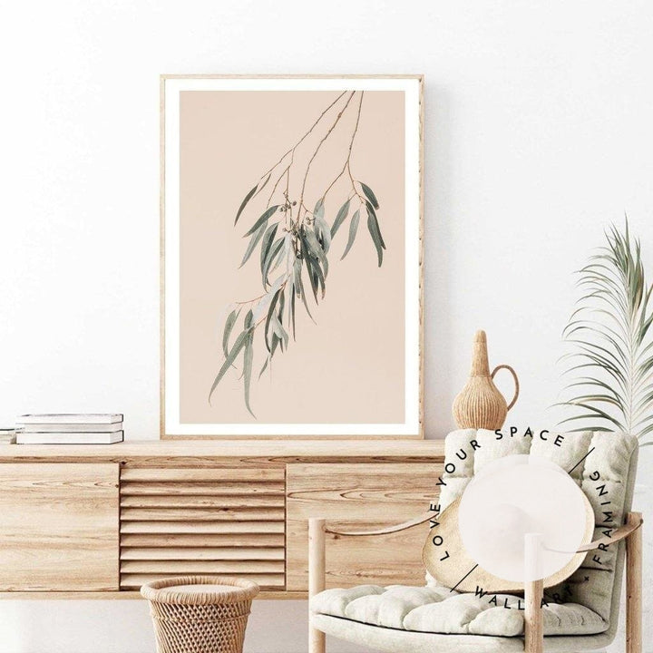 Eucalyptus On Peach - Love Your Space