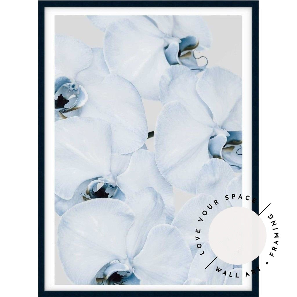 Faded Blue Orchid no.1 - Love Your Space