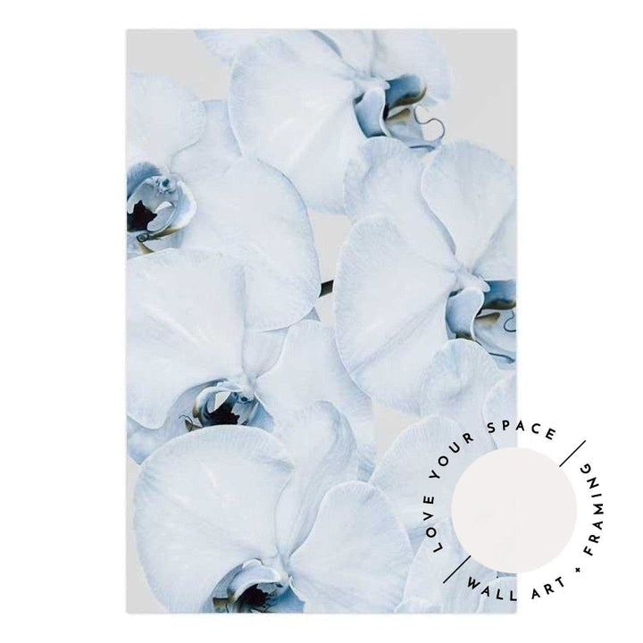 Faded Blue Orchid no.1 - Love Your Space