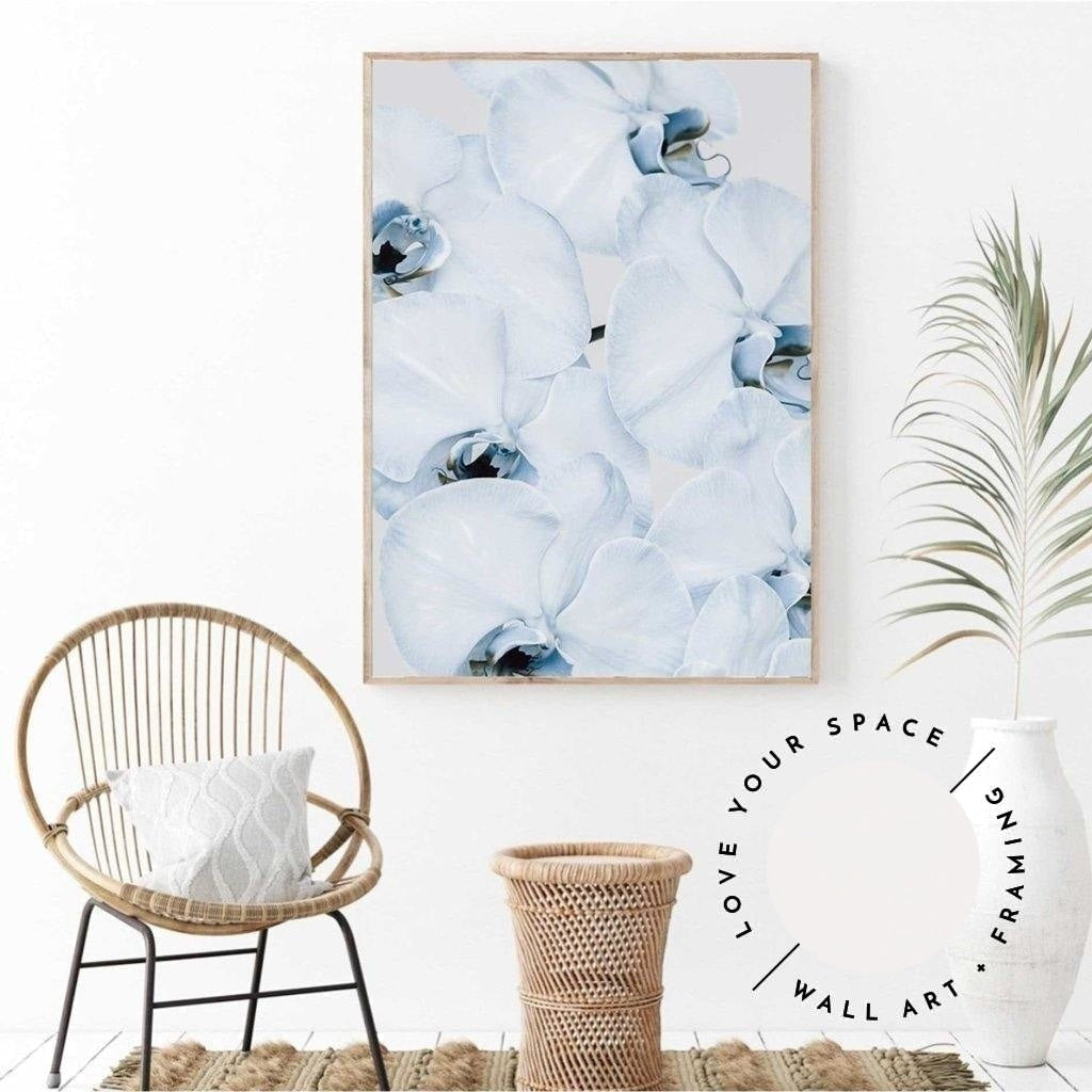 Faded Blue Orchid no.1 - Love Your Space