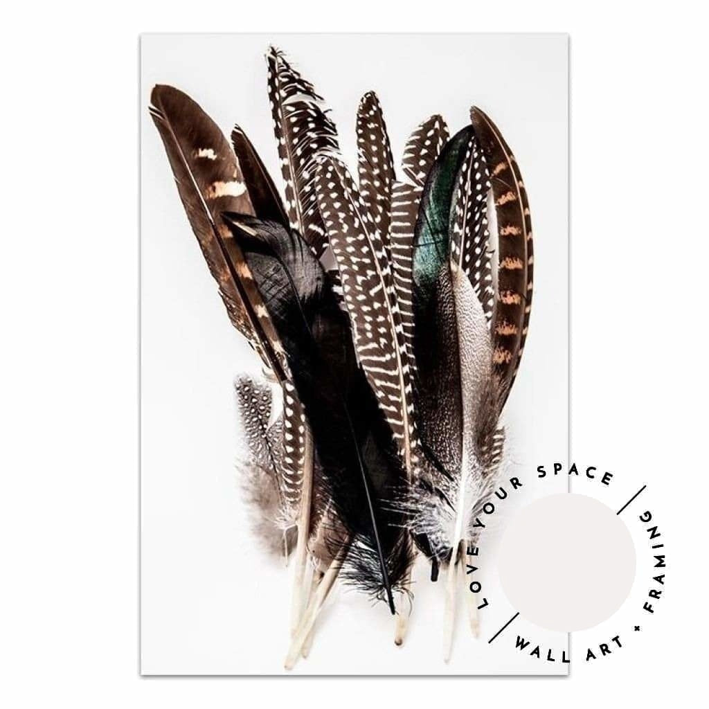 Feathers no.1 - Love Your Space