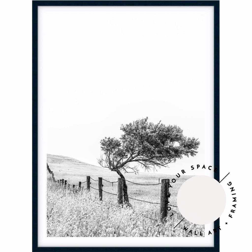 Fence - Black & White - Country Victoria - Love Your Space