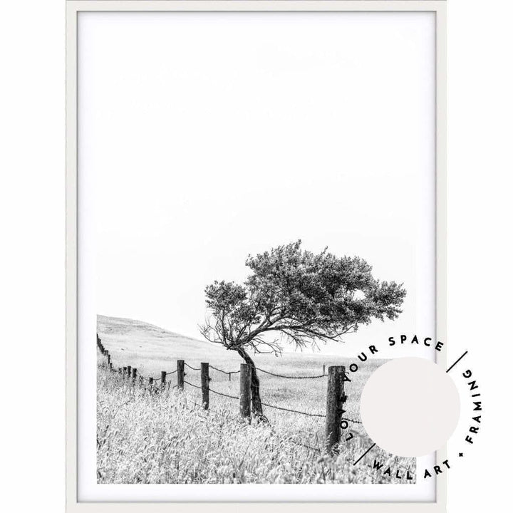 Fence - Black & White - Country Victoria - Love Your Space