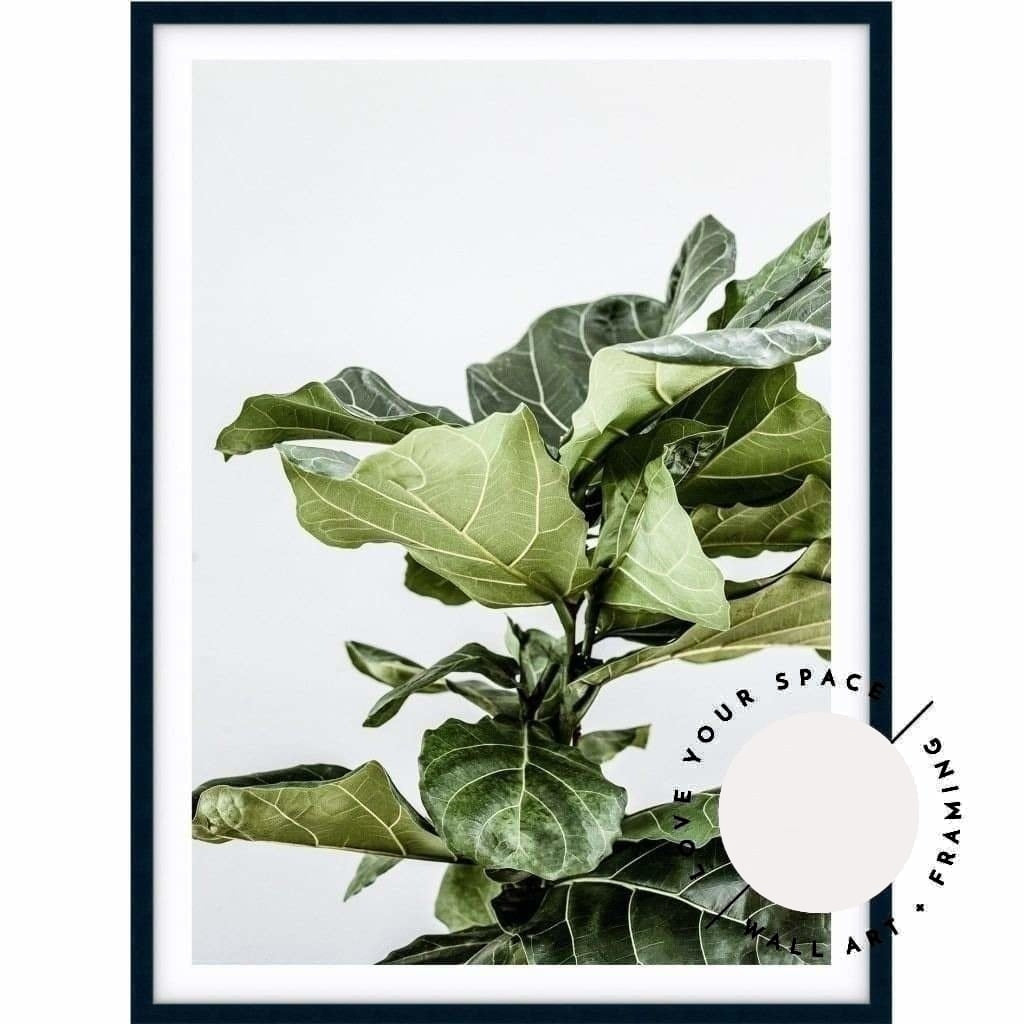 Fiddle Leaf no.2 - Love Your Space