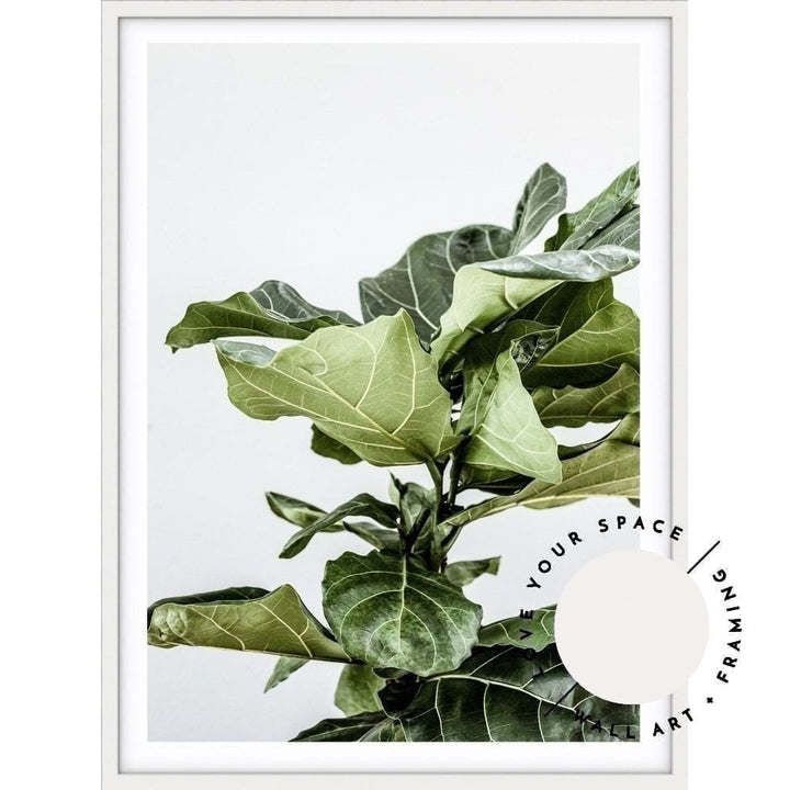 Fiddle Leaf no.2 - Love Your Space