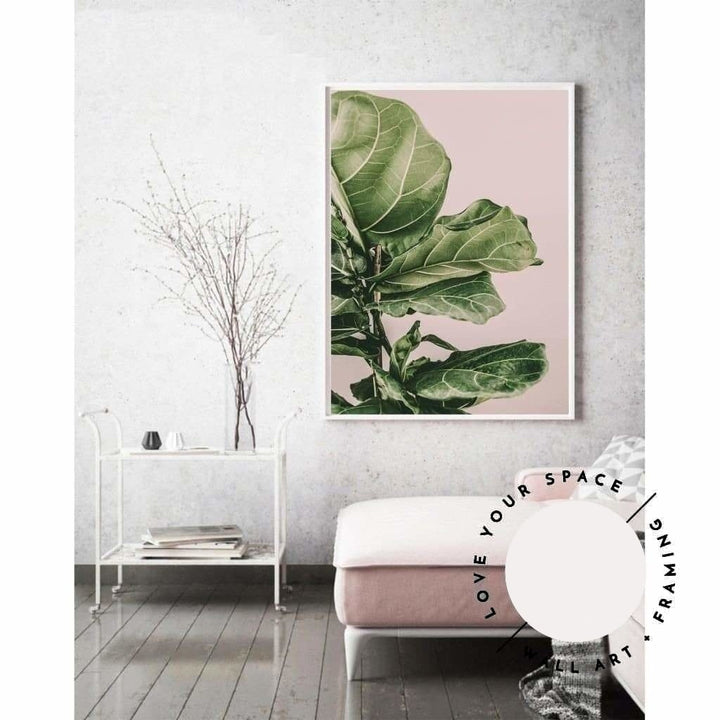 Fiddle Leaf On Pink no.2 - Love Your Space