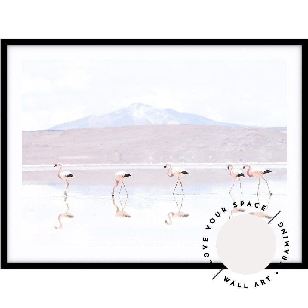 Flamingos LS - Bolivia - Love Your Space