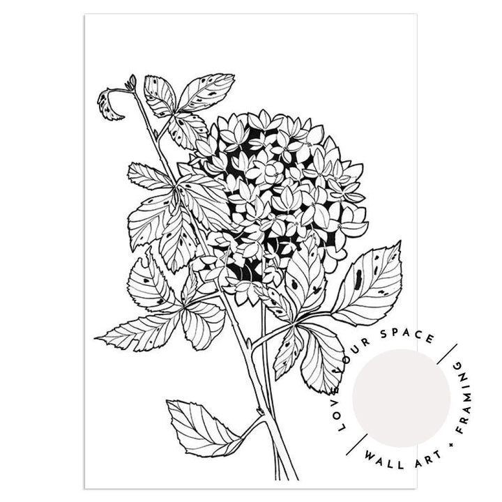 Floral Sketch Bundle - Love Your Space