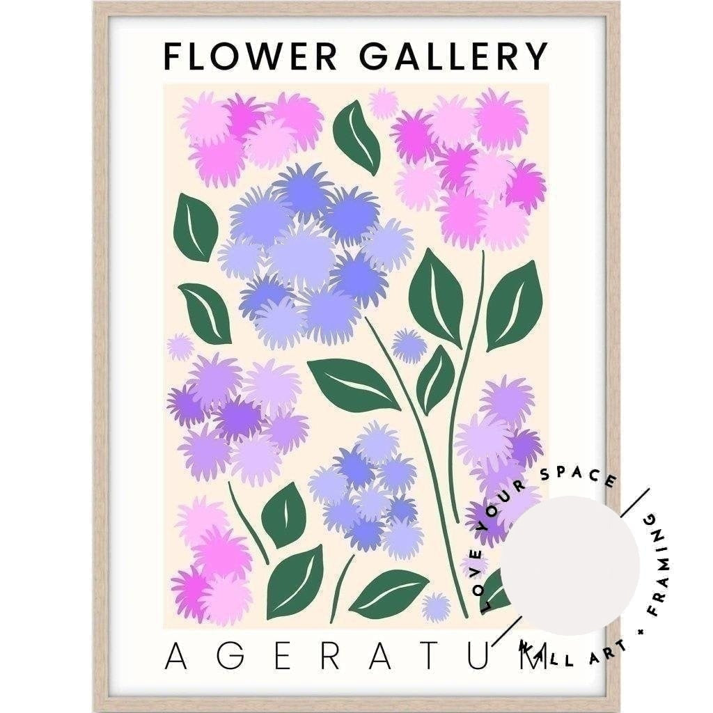 Flower Gallery - Ageratum - Love Your Space