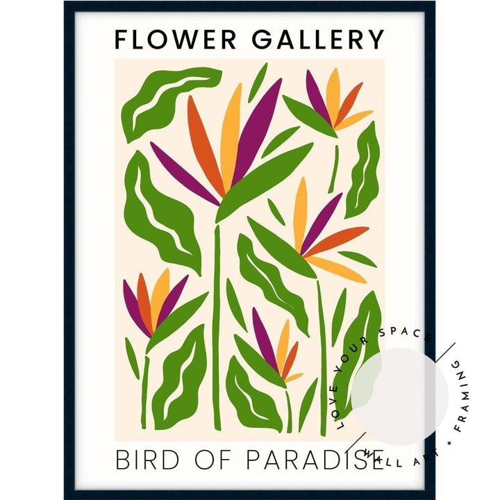 Flower Gallery - Birds of Paradise - Love Your Space