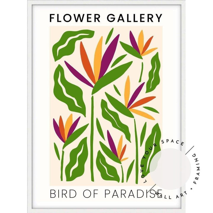 Flower Gallery - Birds of Paradise - Love Your Space