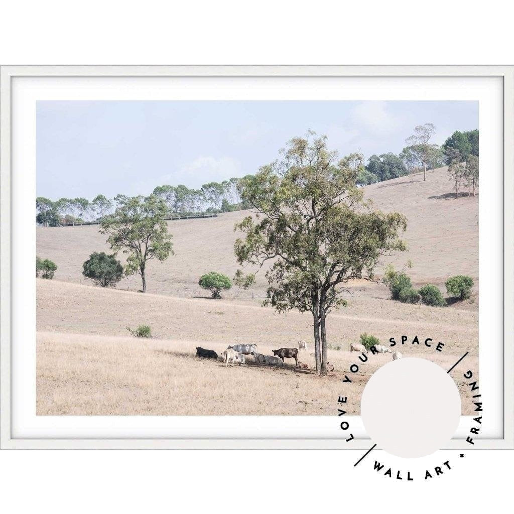 Getting Shade - The Hunter Valley - Love Your Space