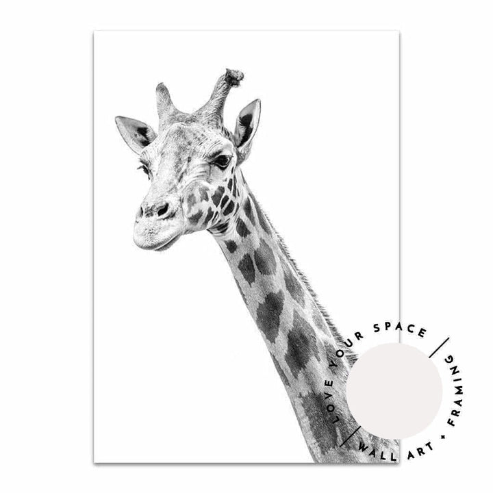 Giraffe B+W - Love Your Space