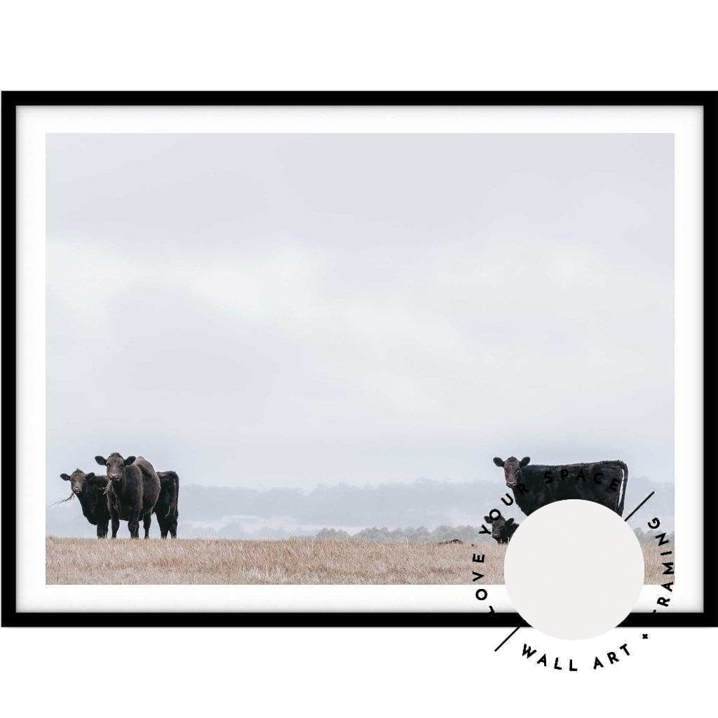 Great Ocean Road Cows - Love Your Space